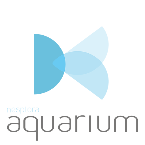 logo aquarium nesplora